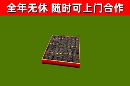 西安回收海参
